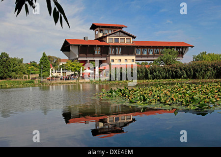 Haus der deutschen Wein Route Bockenheim ein der Weinstraße Bad Dürkheim Bezirk Rheinland-Pfalz Deutschland / Haus der Stockfoto