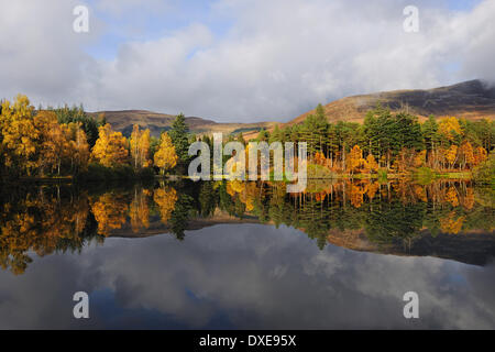 Herbst auf dem man-Trail, Glencoe Stockfoto