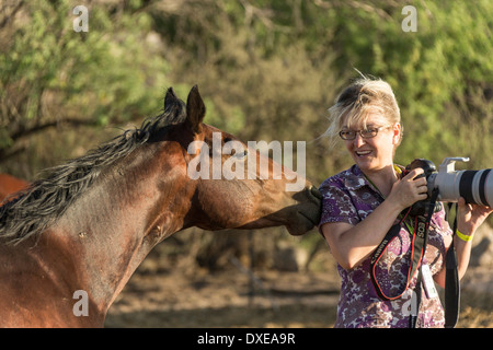 Inländische Pferd mit deutschen Profifotografen Christiane Slawik. Arizona, USA Stockfoto