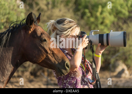 Inländische Pferd mit deutschen Profifotografen Christiane Slawik. Arizona, USA Stockfoto