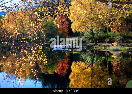 Herbstliche Farbtöne auf den man Trail, Glencoe, West Highlands Stockfoto