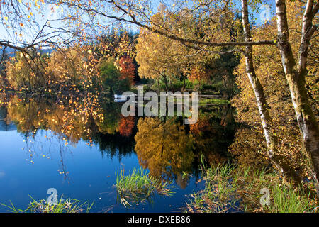 Schöne herbstliche Farbtöne auf man-Trail, Glencoe, West Highlands. Stockfoto