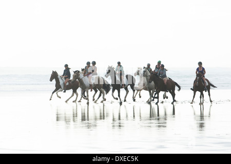 Inländische Pferd. Gruppe von Fahrern im Galopp am Strand. Neuseeland Stockfoto