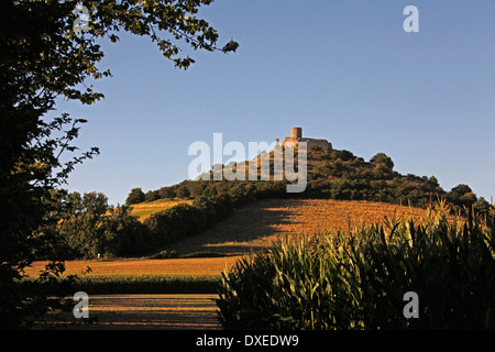 Desenberg-Burg auf dem Desenberg, Warburg, Kreis Höxter, Nordrhein-Westfalen, Deutschland / Höxter Stockfoto