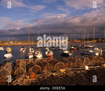 Abendlicht über dem Hafen von Elie, Fife. Stockfoto