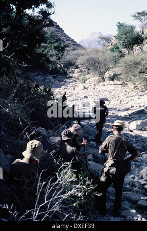 Britische Soldaten, Fallschirmjäger aus 1 Para Einreichung durch ein Wadi in der Wüste, in Notfällen Aden 1967. Stockfoto