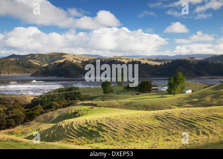 Blick auf Münster Hafen und Ackerland, Coromandel Peninsula, Nordinsel, Neuseeland Stockfoto