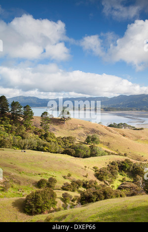 Blick auf Münster Hafen und Ackerland, Coromandel Peninsula, Nordinsel, Neuseeland Stockfoto