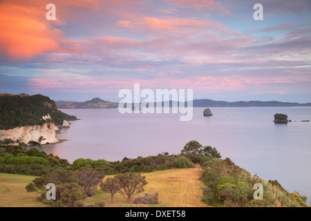 Cathedral Cove Marine Reserve (Te Whanganui-A-Hei) bei Sonnenaufgang, Coromandel Peninsula, Nordinsel, Neuseeland Stockfoto