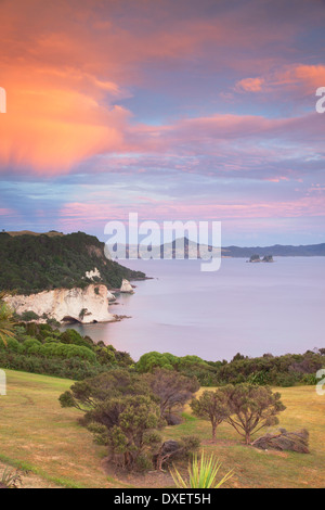 Cathedral Cove Marine Reserve (Te Whanganui-A-Hei) bei Sonnenaufgang, Coromandel Peninsula, Nordinsel, Neuseeland Stockfoto