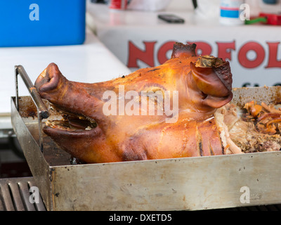 Schweine-Kopf auf Fleischbuffet /sandwich stall in Norfolk, England Stockfoto