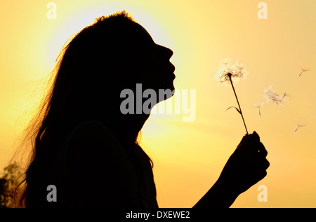 Silhouette eines Mädchens zu Löwenzahn im Sommer weht Stockfoto