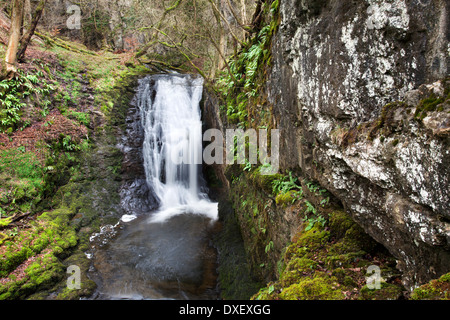 Wasserfall im Stainforth Beck unter Catrigg Kraft in der Nähe niederzulassen Yorkshire Dales England Stockfoto