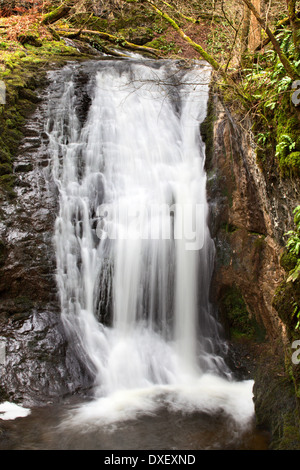 Wasserfall im Stainforth Beck unter Catrigg Kraft in der Nähe niederzulassen Yorkshire Dales England Stockfoto