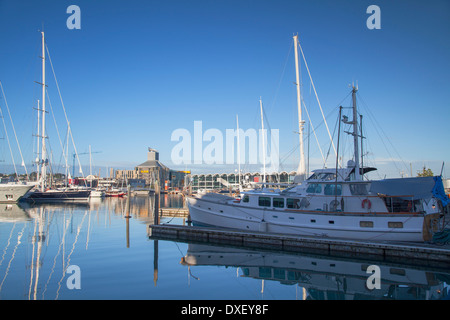 Yachten im Viaduct Harbour, Auckland, Nordinsel, Neuseeland Stockfoto