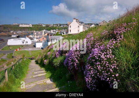 Portpatrick siehe aus den Klippenweg Rhinns of Galloway, S/W-Schottland, Dunfries, Dunskey und Galloway, Stockfoto