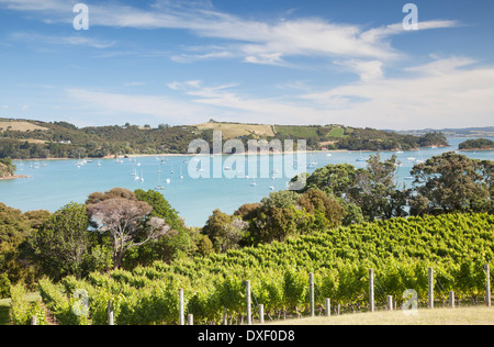 Blick auf Putiki Bucht von Goldie Room Weingut und Restaurant, Waiheke Island, Auckland, Nordinsel, Neuseeland Stockfoto