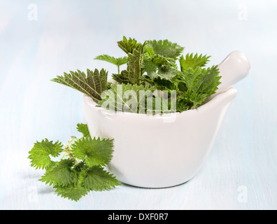 Frische Brennnessel Blätter auf einem Holztisch Stockfoto