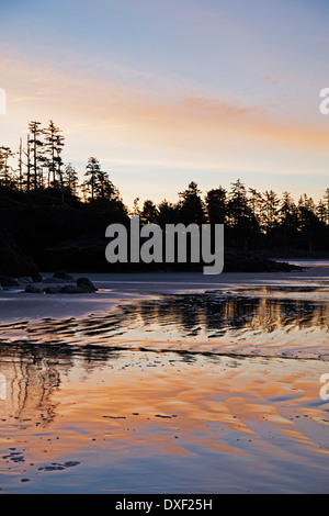 Tofino-Bereich von Long Beach bei Sonnenaufgang, Westküste, British Columbia, Kanada Stockfoto