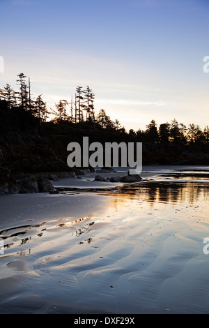 Tofino-Bereich von Long Beach bei Sonnenaufgang, Westküste, British Columbia, Kanada Stockfoto