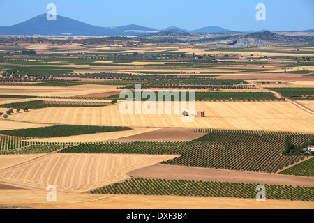 Weinbergen und Ackerland in der Nähe von Consuegra in der Region La Mancha in Zentralspanien. Stockfoto