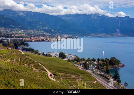 Weinberge und die Stadt Lausanne am nördlichen Ufer des Genfersees in den La Cote Wein erzeugenden Fläche der Schweiz. Stockfoto