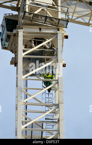 Kran-Arbeiter Stockfoto