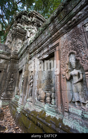 Schnitzereien und Skulpturen in den Ruinen von der Tempel Ta Prohm in Angkor Wat in Camboda. Stockfoto