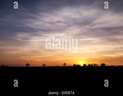 Sonnenuntergang über Felder in Essex. Stockfoto