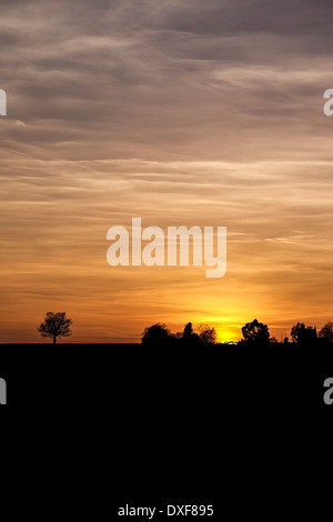 Sonnenuntergang über Felder in Essex. Stockfoto