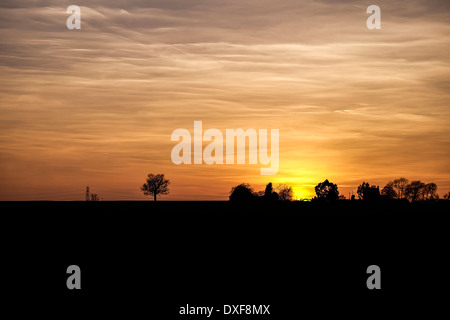 Sonnenuntergang über Felder in Essex. Stockfoto