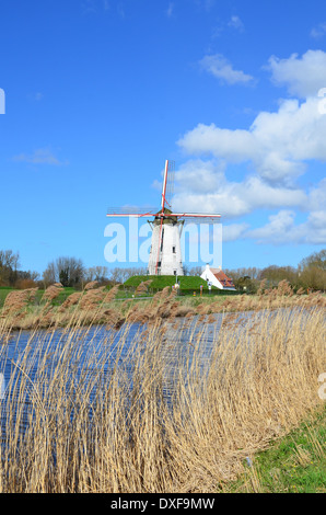 Alte Windmühle in Damme, in der Nähe von Brügge, Flandern, Belgien Stockfoto