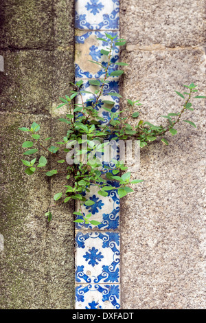 alten traditionellen portugiesischen Azulejo-Fliesen an der Wand eines Hauses in Porto Stockfoto