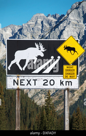 Moose crossing, Warnschild, Britisch-Kolumbien Interieur, b.c., Kanada Stockfoto