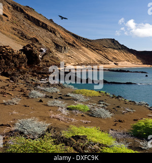 Vulkanische Landschaft auf der Insel Bartolome auf den Galapagos Inseln in Ecuador. Stockfoto