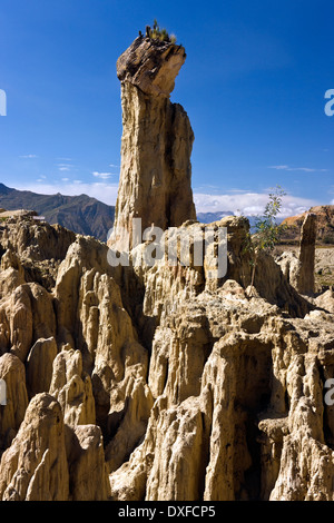 Sombrero De La Dama (Damen Hut) auf das Valle De La Luna (Tal des Mondes) in der Nähe von La Paz in Bolivien. Stockfoto