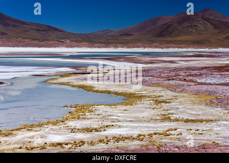 Salzablagerungen an Alues Calientes Lagune in Atacama-Wüste im Norden Chiles Stockfoto