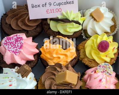 Eine Schachtel mit 9 Tasse Kuchen für den Verkauf auf einem Marktstand in Yorkshire im Vereinigten Königreich. Stockfoto