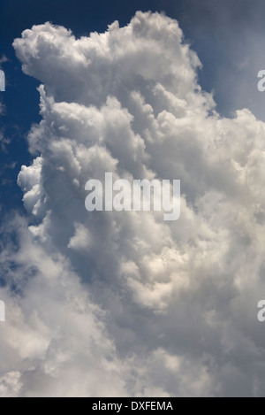 Gewitterwolken und Sonnenlicht. Stockfoto