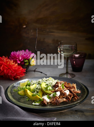 Pork Carnitas mit Kräuter-Reis auf Teller, mexikanische Fiesta Studio gedreht Stockfoto