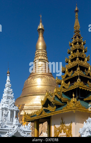Die Shwedagon-Pagode - Yangon in Myanmar (Burma) Stockfoto
