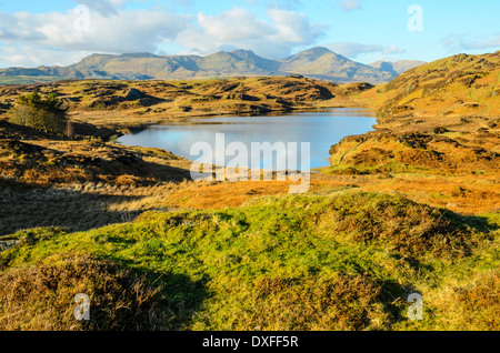 Mit Blick auf Leuchtturm Tarn in der Blawith Fells oben Coniston Water mit Blick auf Dow Crag und Coniston Greis Lake District Stockfoto