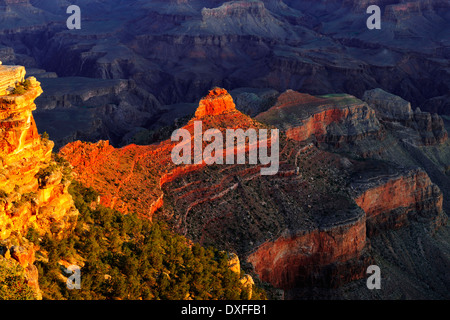 Yaki Point, Grand Canyon South Rim, Arizona, USA Stockfoto