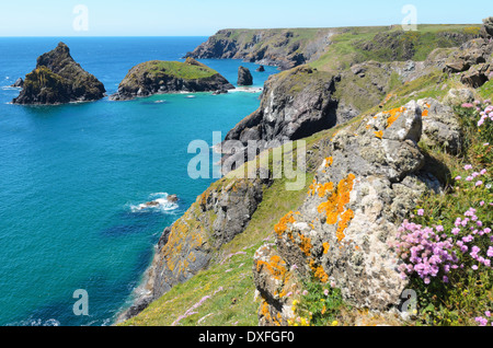 Caerthillian Küste Website der spezielle wissenschaftlichen Interesses (SSSI) und Lion Rock auf der Lizard Halbinsel Cornwall England UK Stockfoto