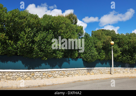 Straße mit Straßenlaterne, Cascais, Lissabon, Portugal Stockfoto