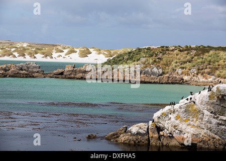 Gypsy-Bucht in der Nähe von Port Stanley auf den Falklandinseln. Stockfoto