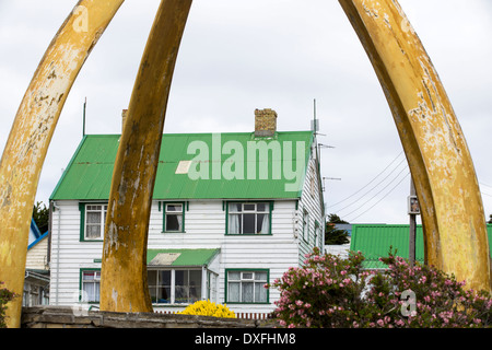 Ein Wal-Knochen-Bogen aus vom unteren Kieferknochen der Blauwale in Port Stanley auf den Falklandinseln. Stockfoto