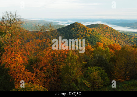 Frühen Morgen Blick aus Oberburg Schloss der Pfälzer Wald, Rheinland-Pfalz, Deutschland Stockfoto