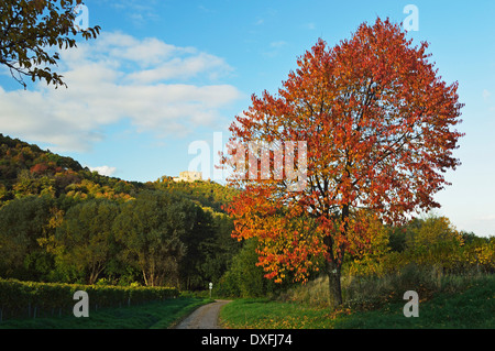 Hambacher Schloss und Weinberg-Landschaft, in der Nähe von Neustadt, deutschen Wein Route, Rheinland-Pfalz, Deutschland Stockfoto