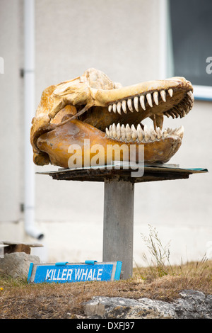 Ein Gutsbesitzer in Port Stanley auf den Falklandinseln, ein Walmuseum mit einem Anti Walfang geschaffen hat, schräg. Stockfoto